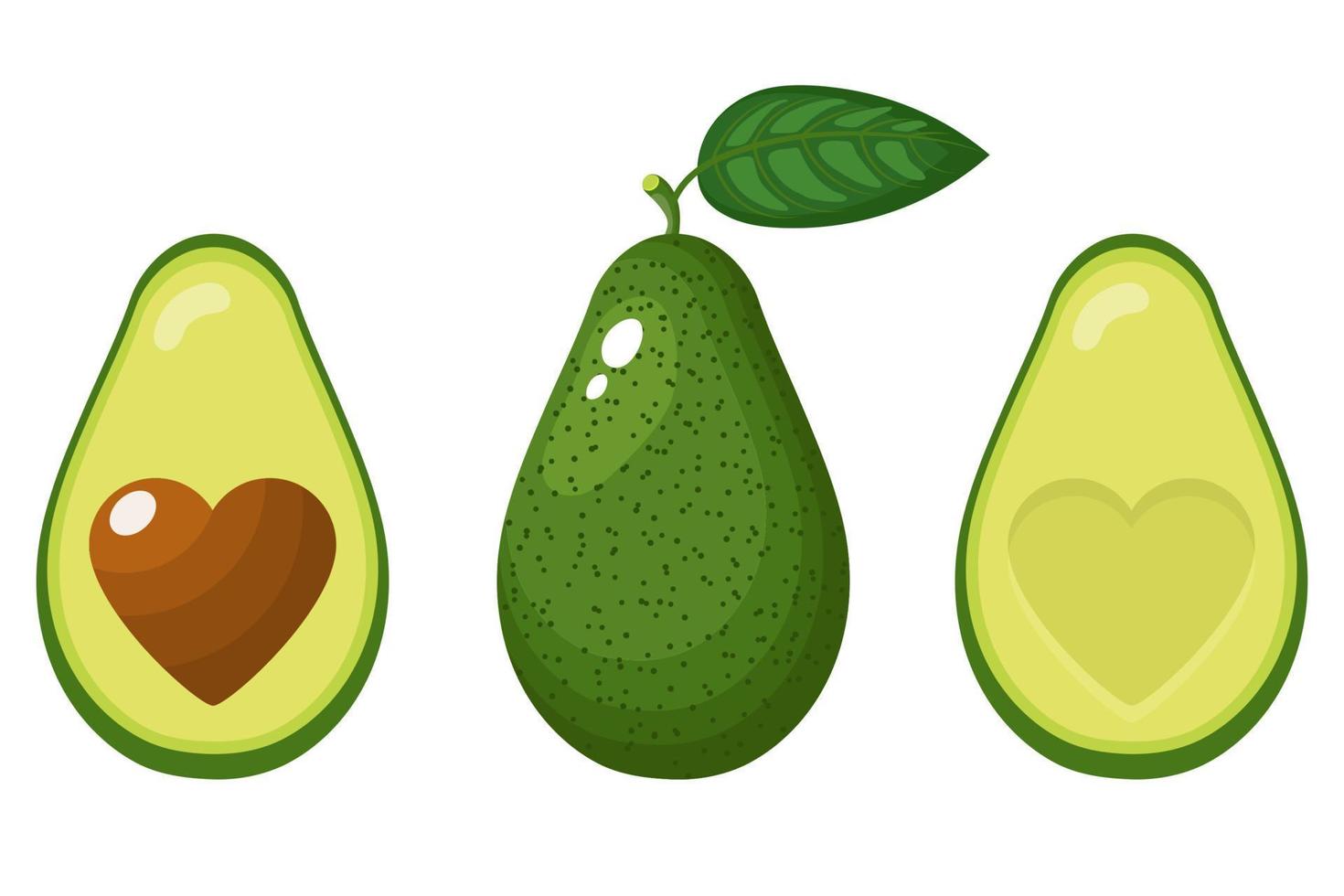 Set of fresh whole, half, cut slice and leaves avocado with heart isolated on white background. Summer fruits for healthy lifestyle. Organic fruit. Cartoon style. Vector illustration for any design.