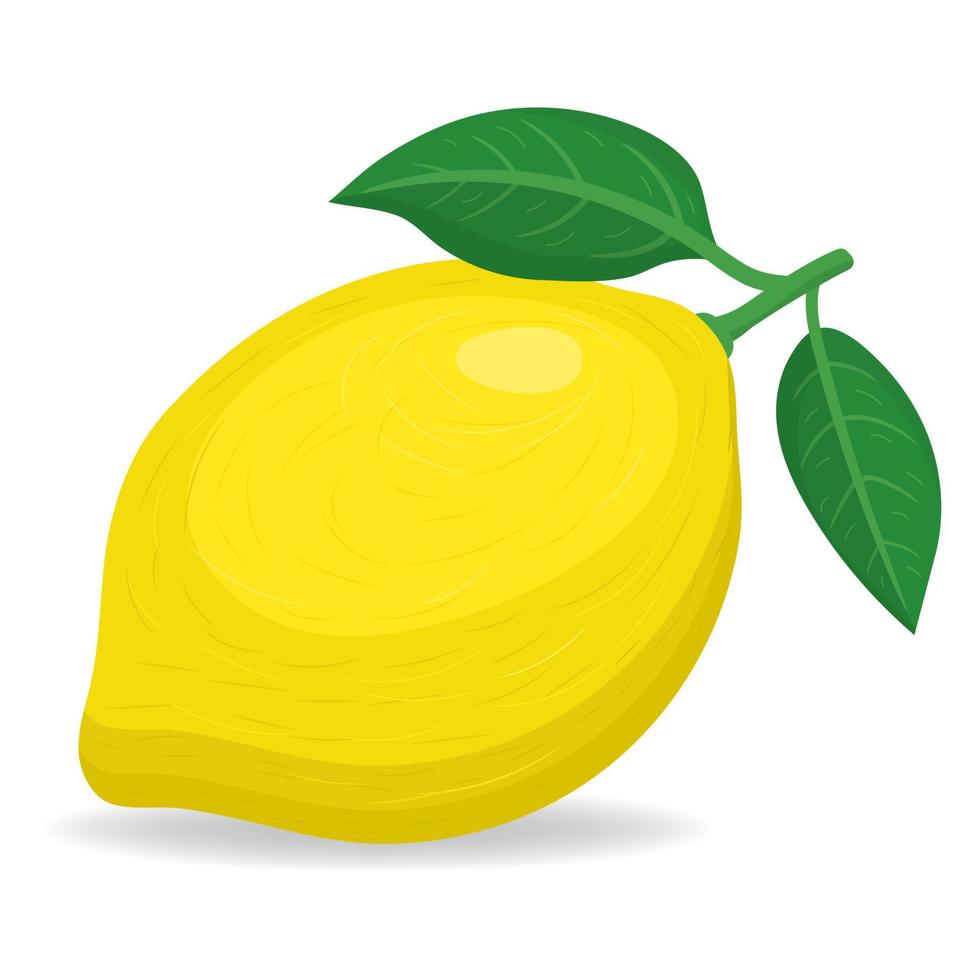 Fresh bright exotic whole lemon fruit isolated on white background. Summer fruits for healthy lifestyle. Organic fruit. Cartoon style. Vector illustration for any design.