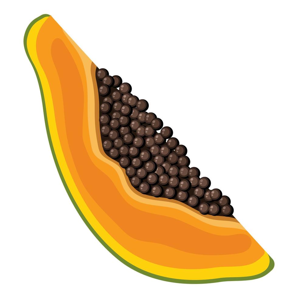 Fresh bright exotic cut slice papaya fruit isolated on white background. Summer fruits for healthy lifestyle. Organic fruit. Cartoon style. Vector illustration for any design.