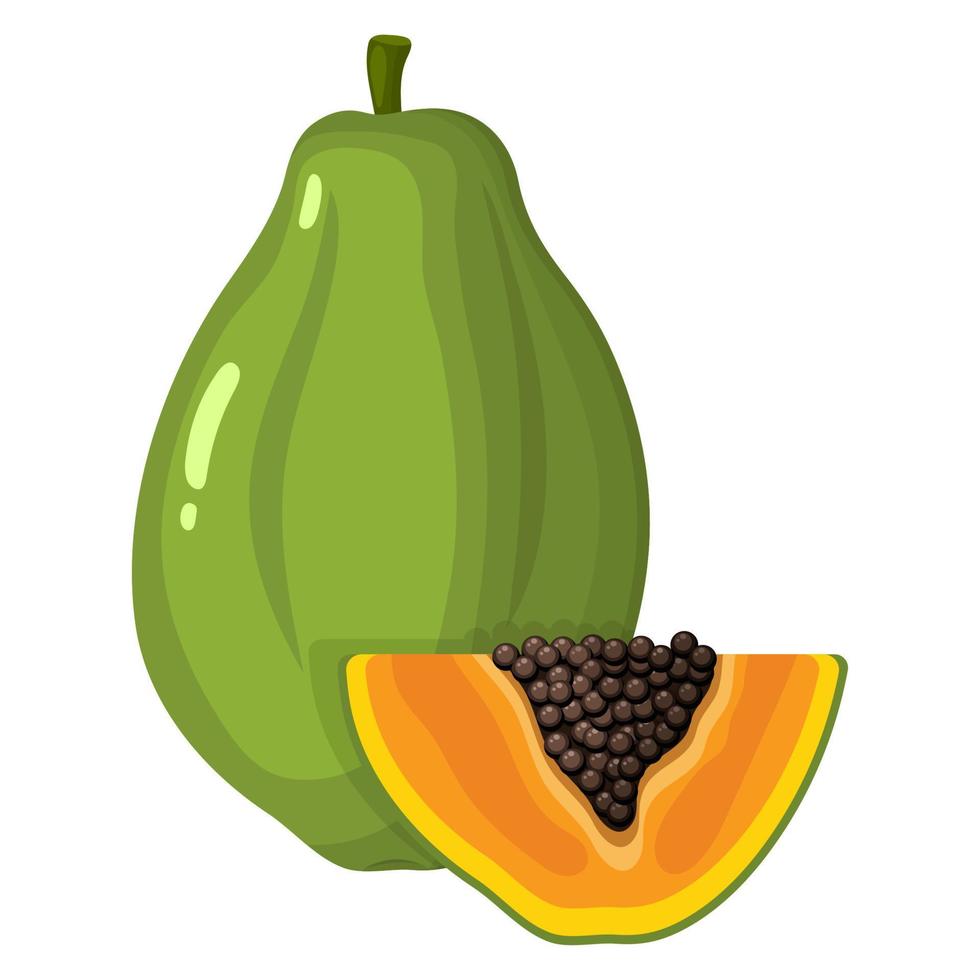 Fresh bright exotic whole and cut slice papaya fruit isolated on white background. Summer fruits for healthy lifestyle. Organic fruit. Cartoon style. Vector illustration for any design.