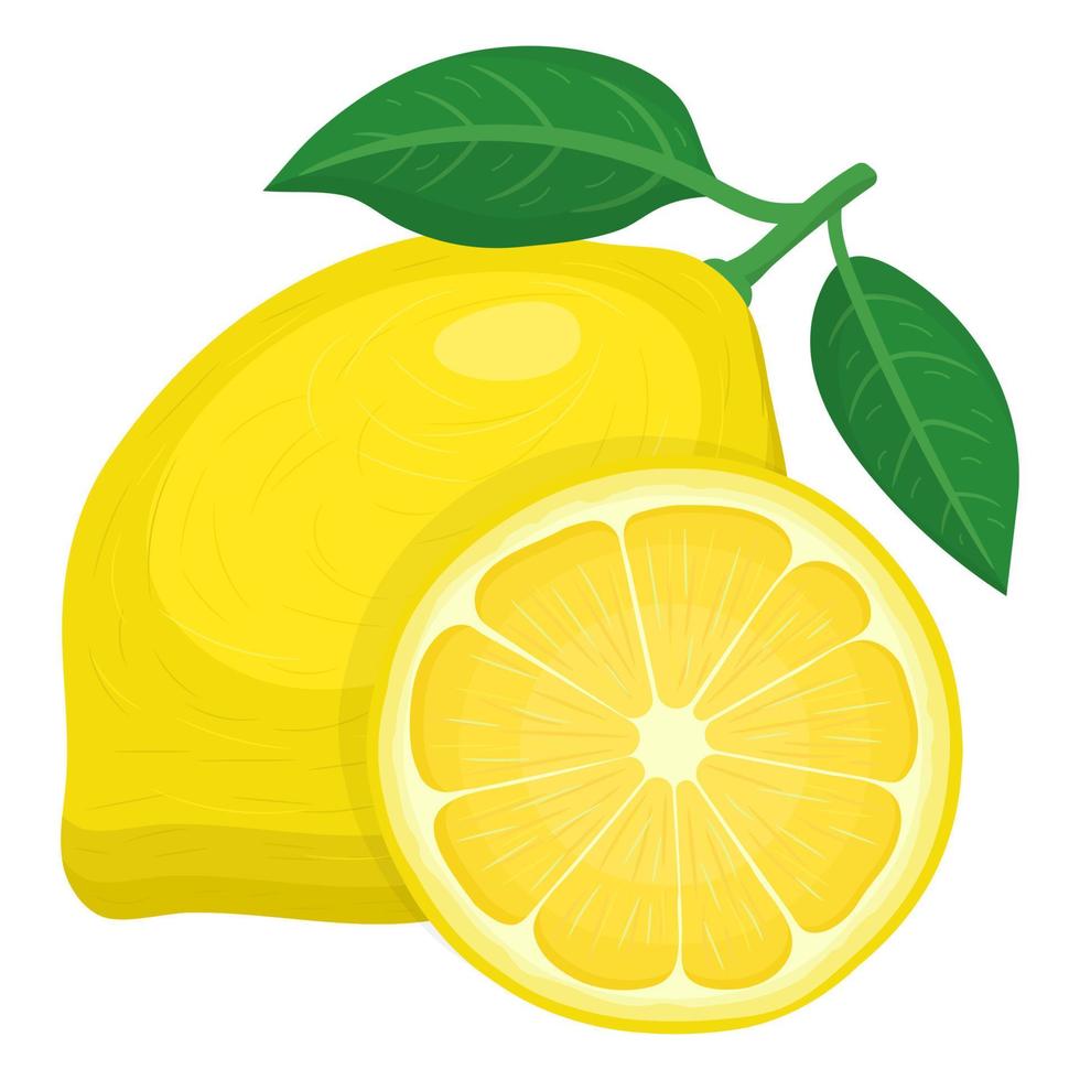 Fresh bright exotic whole and half lemon fruit isolated on white background. Summer fruits for healthy lifestyle. Organic fruit. Cartoon style. Vector illustration for any design.