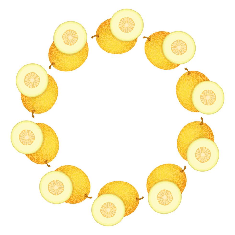 Wreath from yellow honeydew melon with space for text. Cartoon organic sweet food. Summer fruits for healthy lifestyle. Vector illustration for any design.