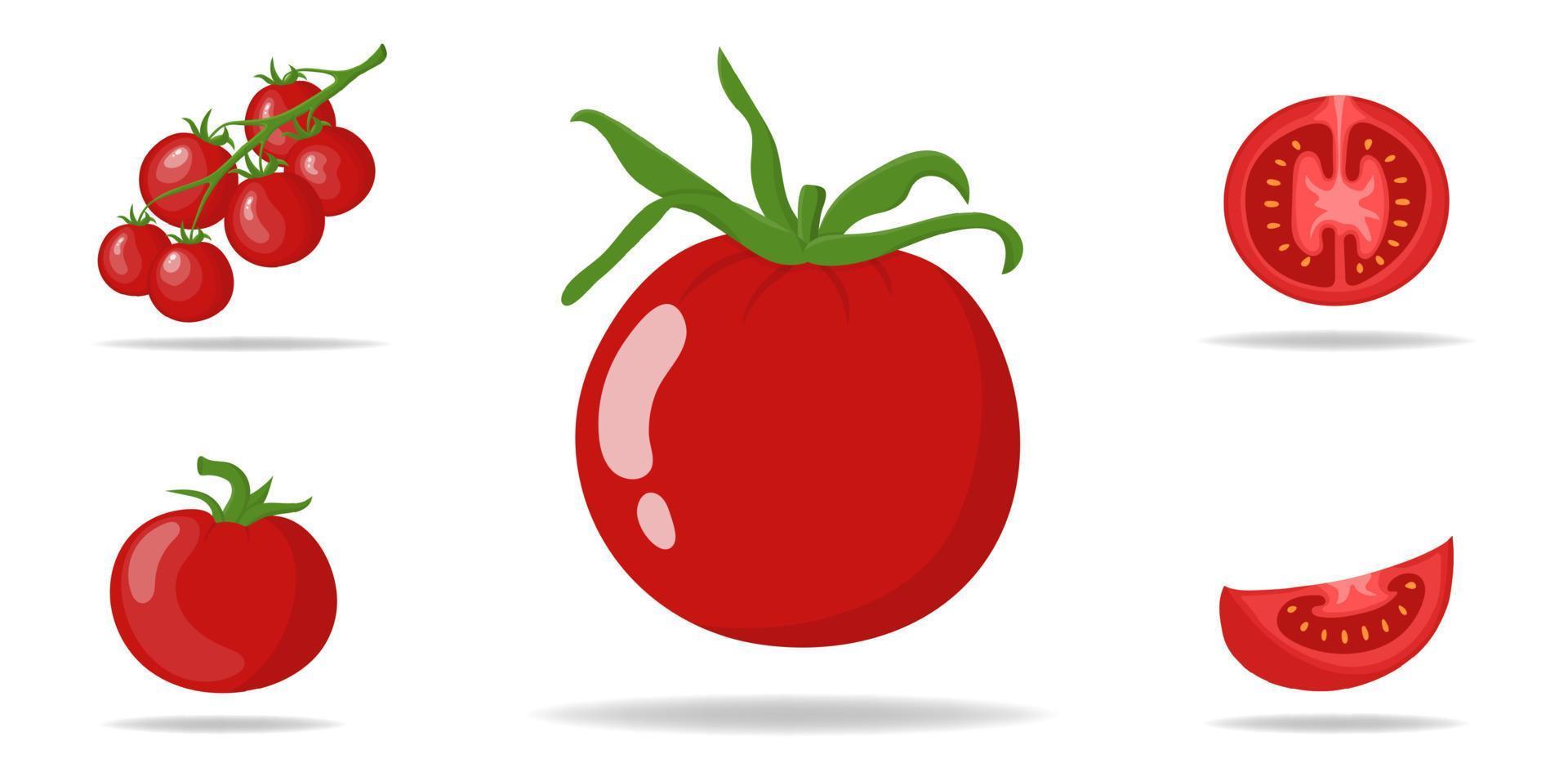 conjunto de tomates rojos frescos aislado sobre fondo blanco. Iconos de tomate en rama, entero, medio y en rodajas para el mercado, diseño de recetas. alimentos orgánicos. estilo de dibujos animados ilustración vectorial para diseño, web. vector
