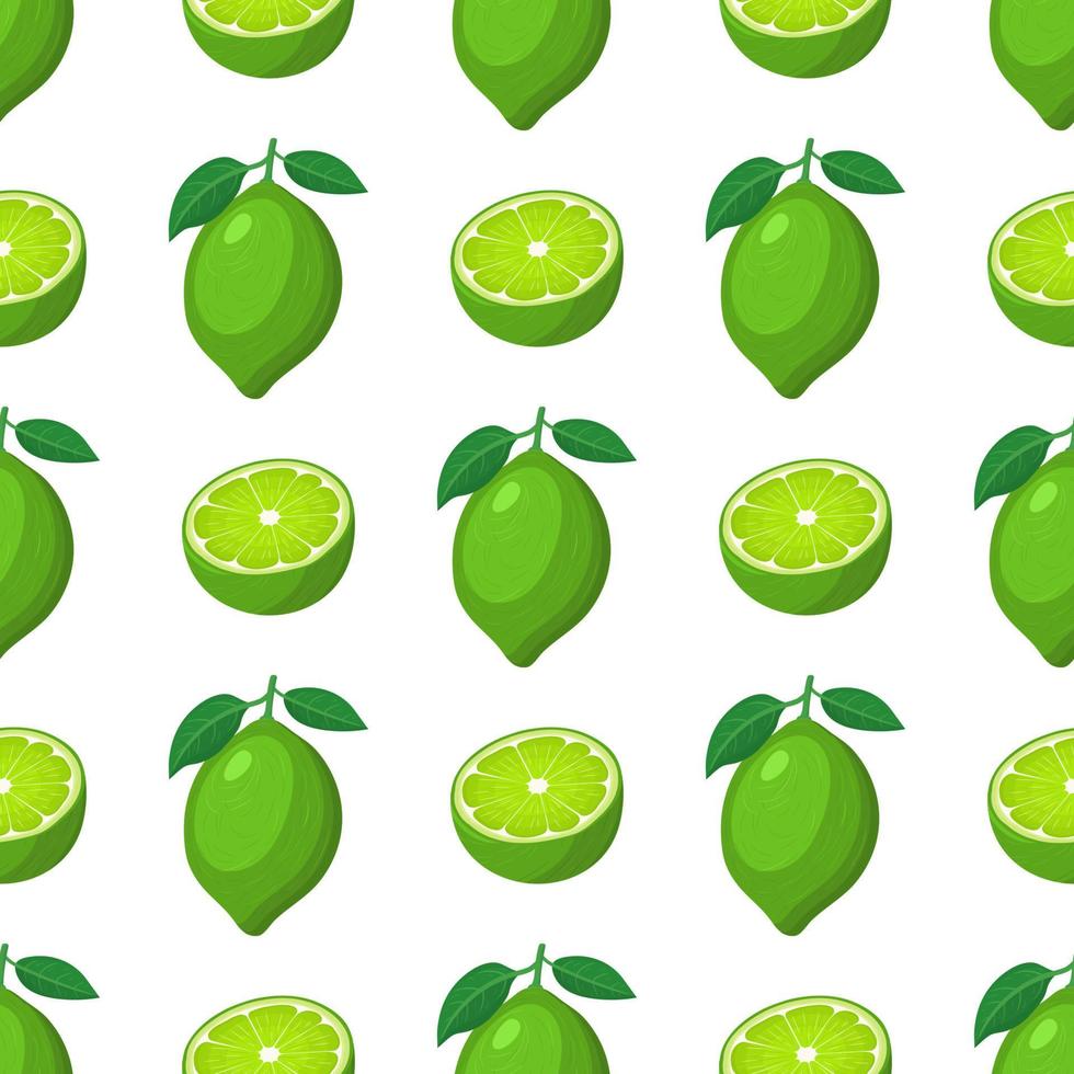 Seamless pattern with fresh bright exotic whole and half lime fruit on white background. Summer fruits for healthy lifestyle. Organic fruit. Cartoon style. Vector illustration for any design.