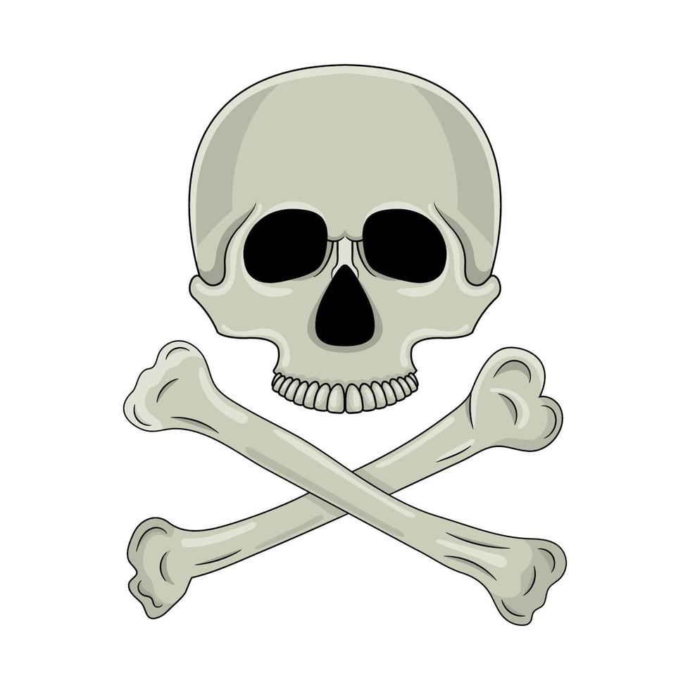 Skull and crossed bones isolated on white background. Cartoon human skull. Vector illustration for any design.