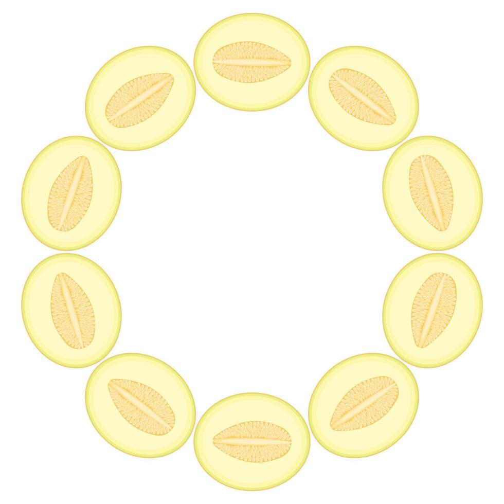 Wreath from yellow honeydew melon with space for text. Cartoon organic sweet food. Summer fruits for healthy lifestyle. Vector illustration for any design.