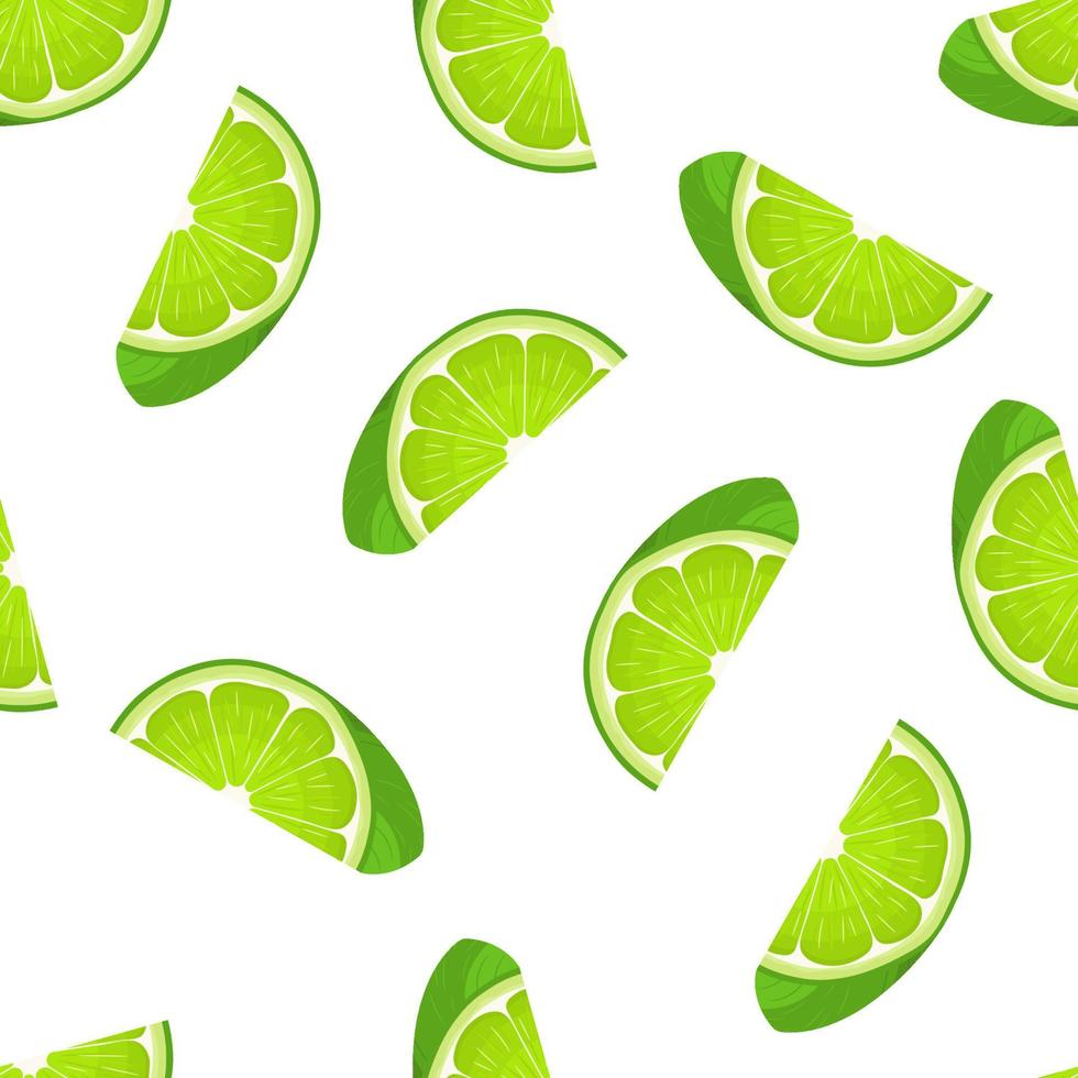 Seamless pattern with fresh bright exotic cut slice lime fruit on white background. Summer fruits for healthy lifestyle. Organic fruit. Cartoon style. Vector illustration for any design.