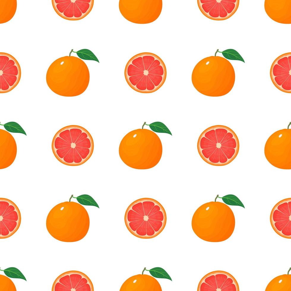 Seamless pattern with fresh bright exotic whole and half grapefruit isolated on white background. Summer fruits for healthy lifestyle. Organic fruit. Cartoon style. Vector illustration for any design.
