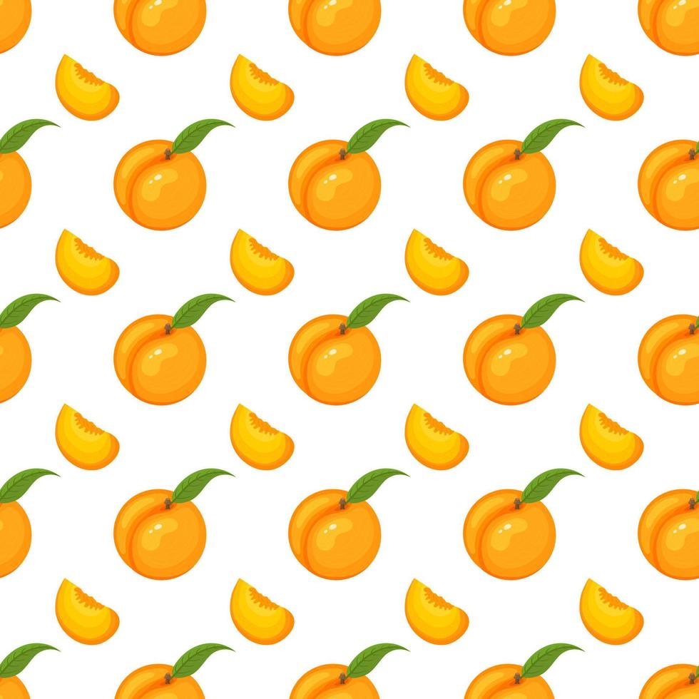 Saemless pattern with cartoon detailed exotic peach on white background. Summer fruits for healthy lifestyle. Organic fruit. Vector illustration for any design.