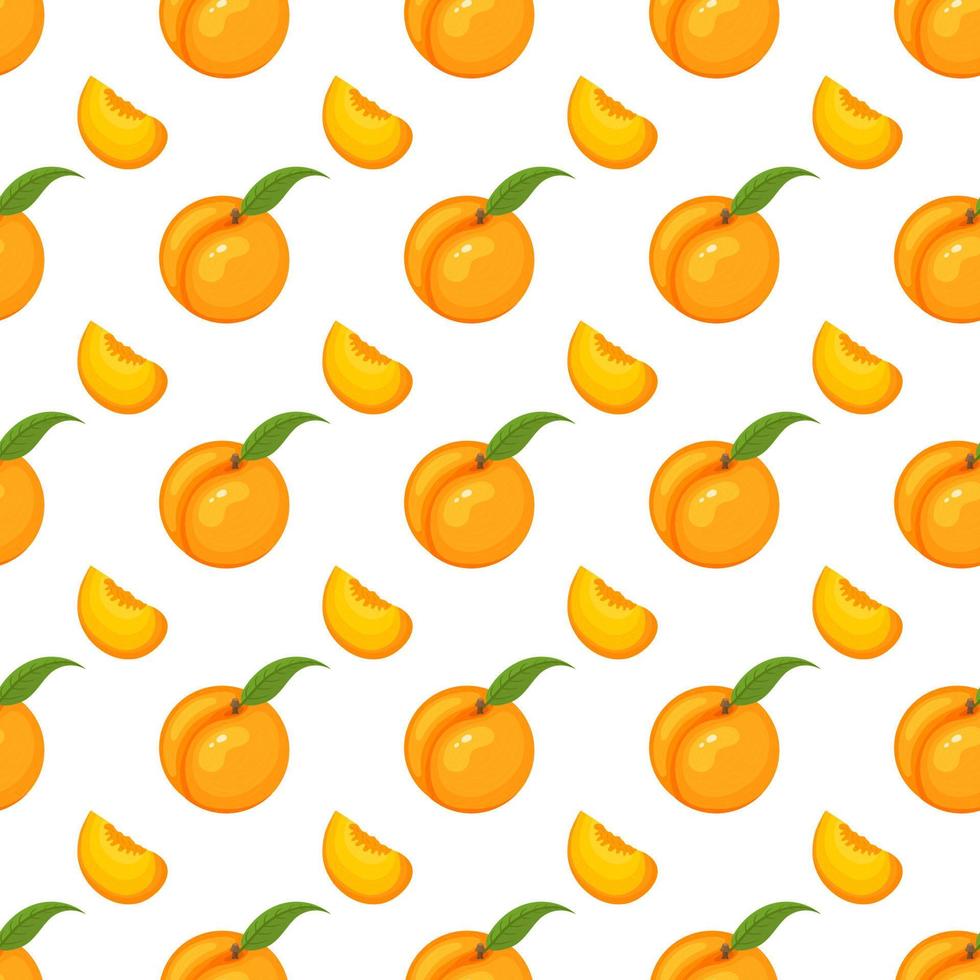 Saemless pattern with cartoon detailed exotic peach on white background. Summer fruits for healthy lifestyle. Organic fruit. Vector illustration for any design.