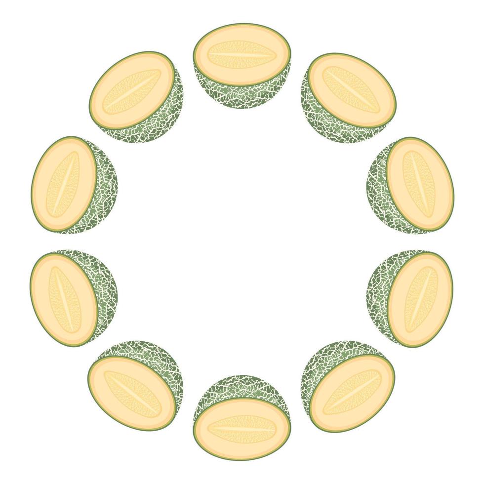 corona de melón verde con espacio para texto. comida dulce orgánica de dibujos animados. frutas de verano para un estilo de vida saludable. ilustración vectorial para cualquier diseño. vector