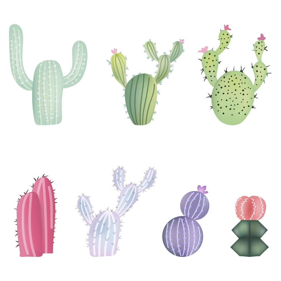Set of different colorful realistic cactuses. Vector illustration isolated on white background.
