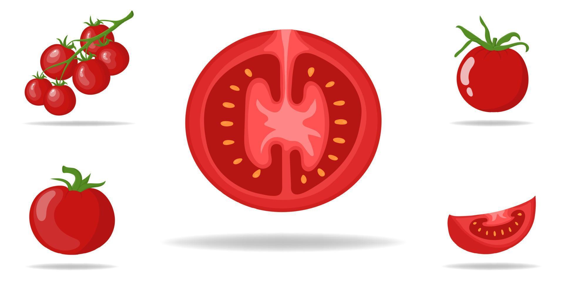 Set of Fresh Red Tomatoes isolated on white background. Branch, Whole, Half and Slice Tomato Icons for Market, Recipe Design. Organic Food. Cartoon Style. Vector illustration for Design, Web.
