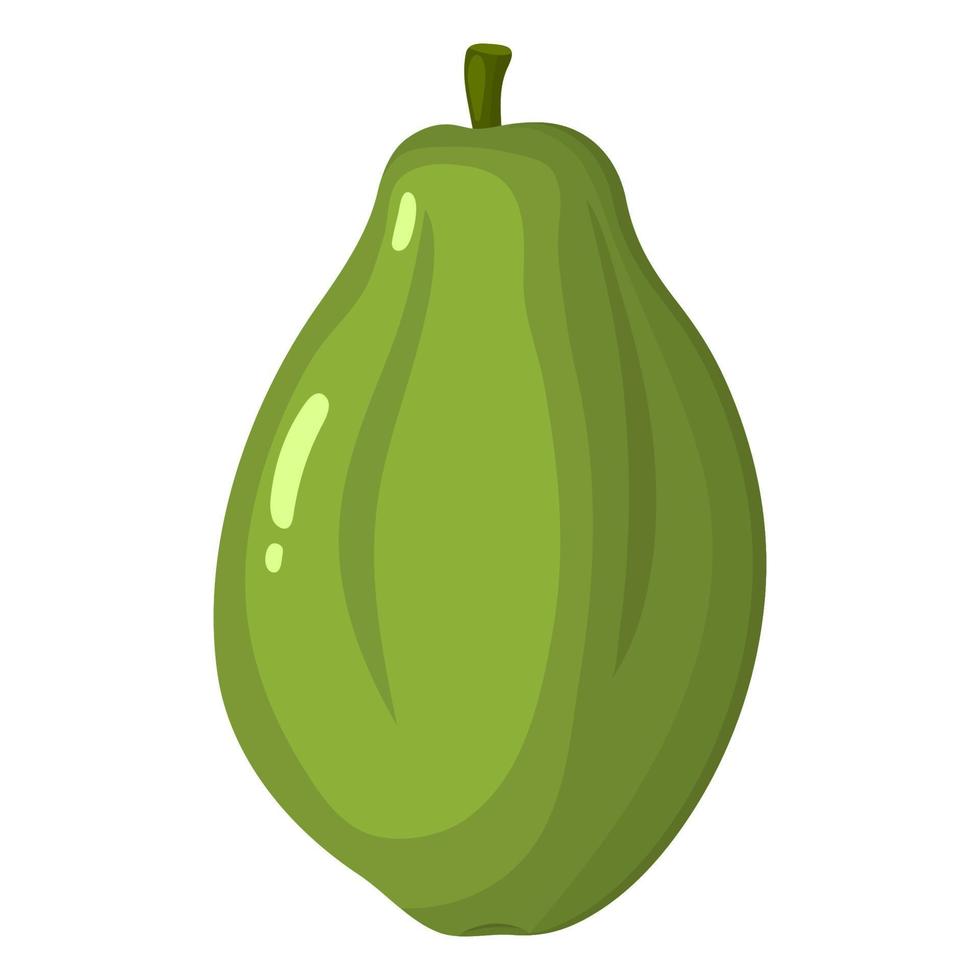 fruta de papaya entera exótica brillante fresca aislada sobre fondo blanco. frutas de verano para un estilo de vida saludable. fruta organica estilo de dibujos animados ilustración vectorial para cualquier diseño. vector