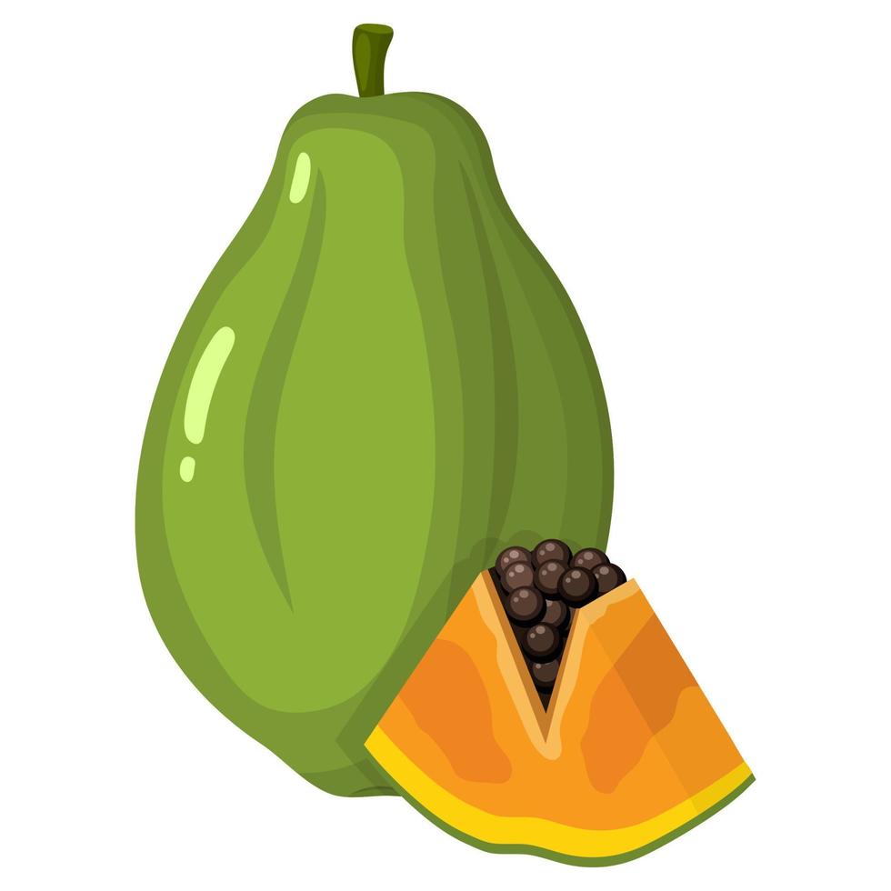 fresco, brillante, exótico, entero, y, corte, rebanada, papaya, fruta, aislado, blanco, fondo. frutas de verano para un estilo de vida saludable. fruta organica estilo de dibujos animados ilustración vectorial para cualquier diseño. vector