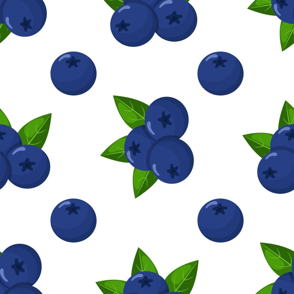 Seamless pattern with fresh bright exotic blueberries on white background. Summer fruits for healthy lifestyle. Organic fruit. Cartoon style. Vector illustration for any design.