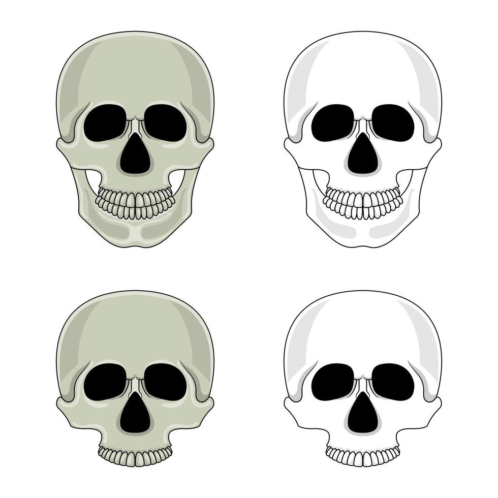 conjunto de cráneos aislado sobre fondo blanco. cráneo humano de dibujos animados con mandíbula. ilustración vectorial para cualquier diseño. vector