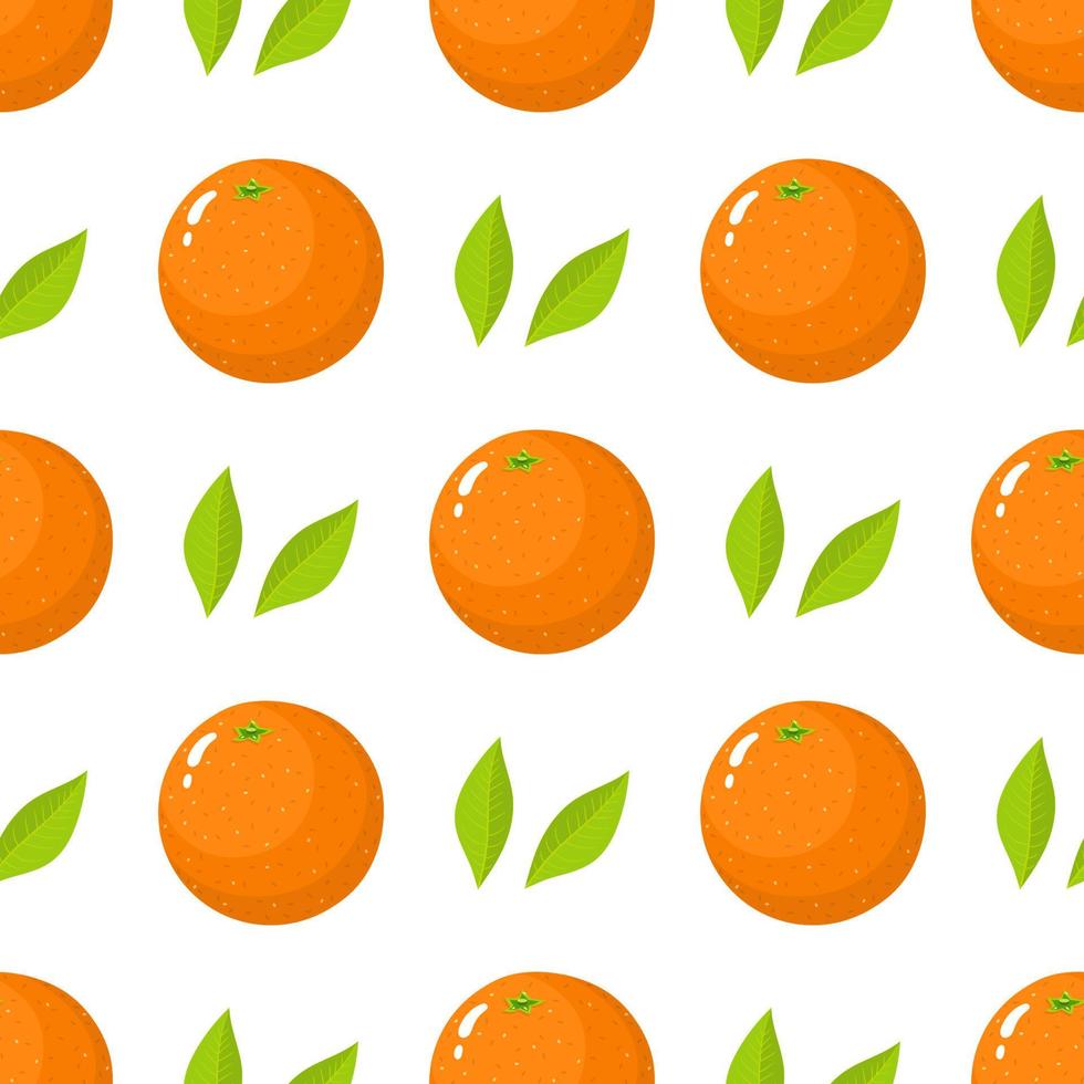 Seamless pattern with fresh whole orange fruit and green leaves on white background. Tangerine. Organic fruit. Cartoon style. Vector illustration for design, web, wrapping paper, fabric, wallpaper.
