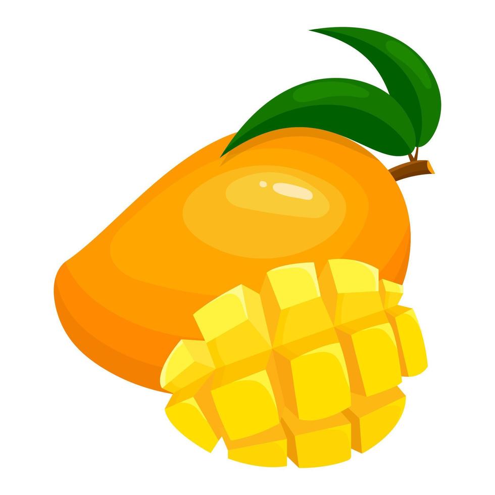 mango exótico brillante fresco entero y en rodajas aislado sobre fondo blanco. frutas de verano para un estilo de vida saludable. fruta organica estilo de dibujos animados ilustración vectorial para cualquier diseño. vector