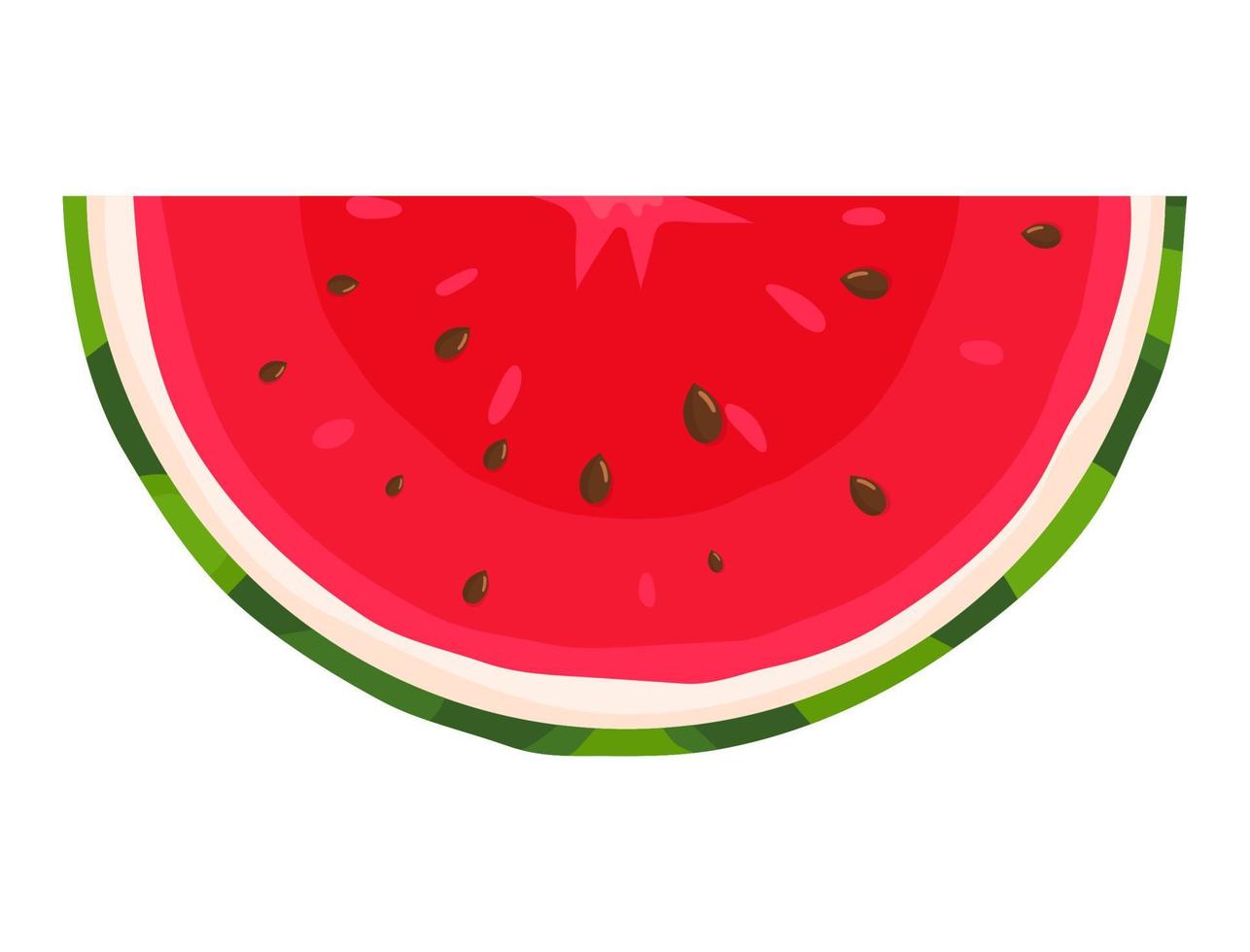 Rebanada de fruta de sandía recién cortada aislada sobre fondo blanco. frutas de verano para un estilo de vida saludable. fruta organica estilo de dibujos animados ilustración vectorial para cualquier diseño. vector