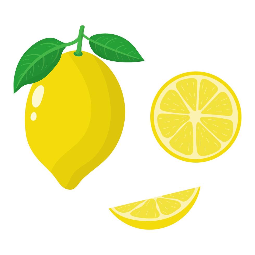 Set of fresh whole, half and slice lemon isolated on white background. Organic fruits. Cartoon style. Vector illustration for any design