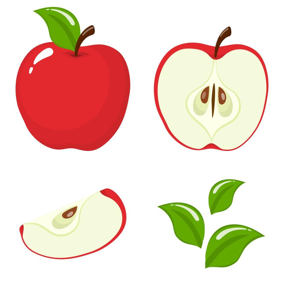 conjunto de frutas frescas enteras, medias, rebanadas y hojas de manzana roja aisladas en fondo blanco. frutas de verano para un estilo de vida saludable. fruta organica estilo de dibujos animados ilustración vectorial para cualquier diseño. vector