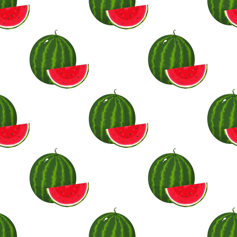 Seamless pattern with fresh whole and cut slice watermelon fruit on white background. Summer fruits for healthy lifestyle. Organic fruit. Cartoon style. Vector illustration for any design.