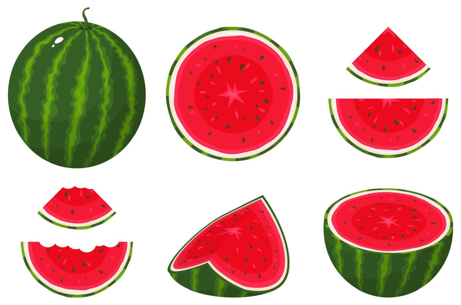 conjunto de fruta de sandía fresca entera, mitad, rebanada cortada aislada sobre fondo blanco. frutas de verano para un estilo de vida saludable. fruta organica estilo de dibujos animados ilustración vectorial para cualquier diseño. vector