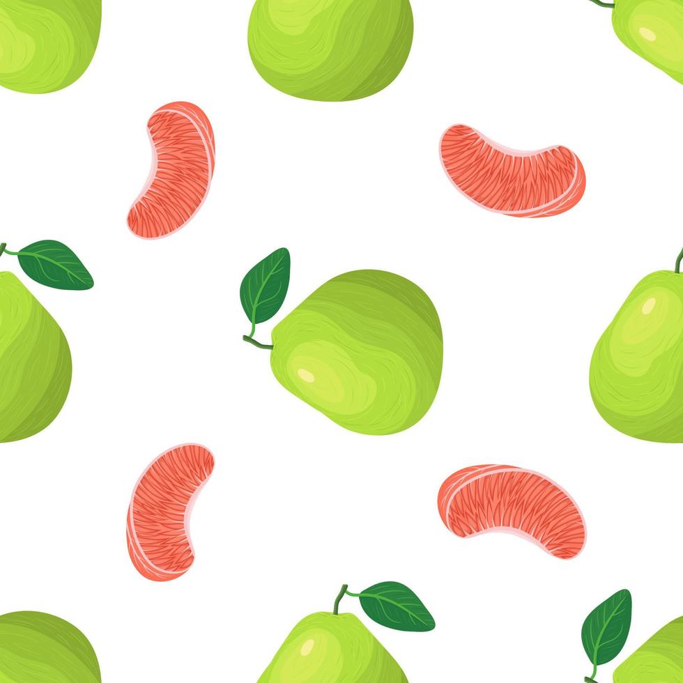 Seamless pattern with fresh bright exotic whole and piece pomelo fruit on white background. Summer fruits for healthy lifestyle. Organic fruit. Cartoon style. Vector illustration for any design