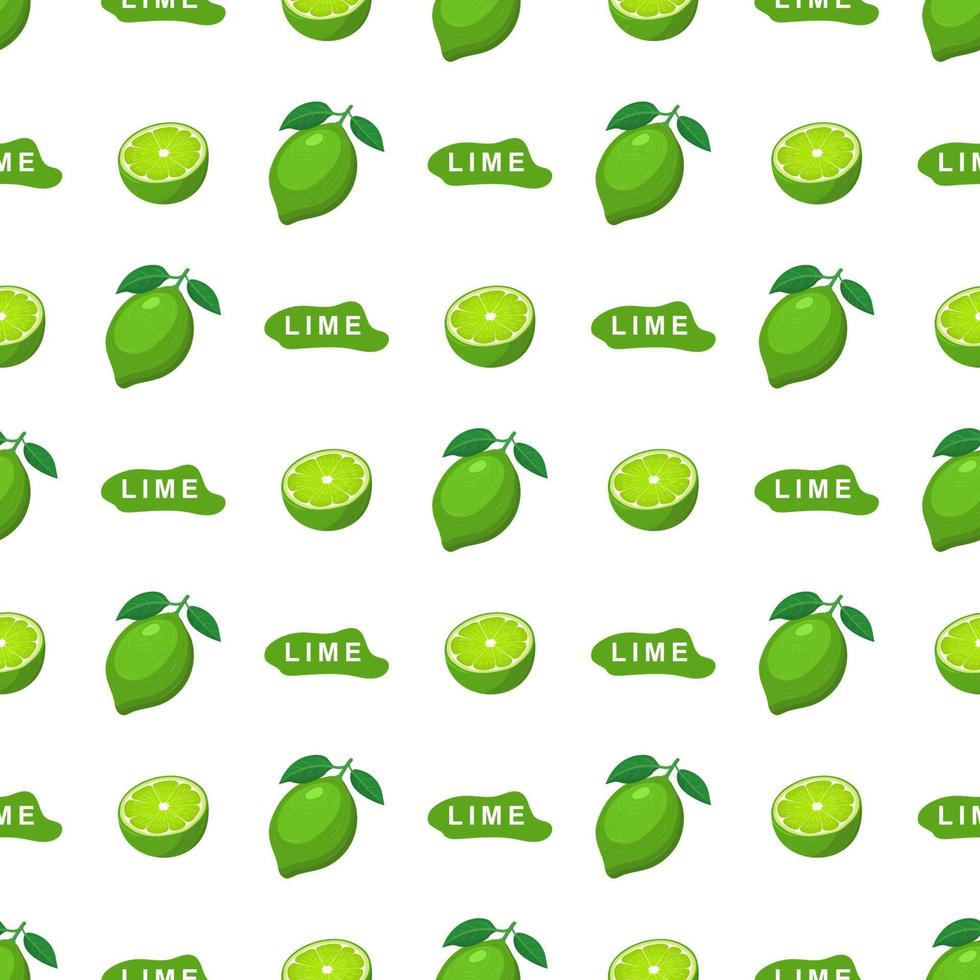 Seamless pattern with fresh bright exotic whole and half lime fruit on white background. Summer fruits for healthy lifestyle. Organic fruit. Cartoon style. Vector illustration for any design.
