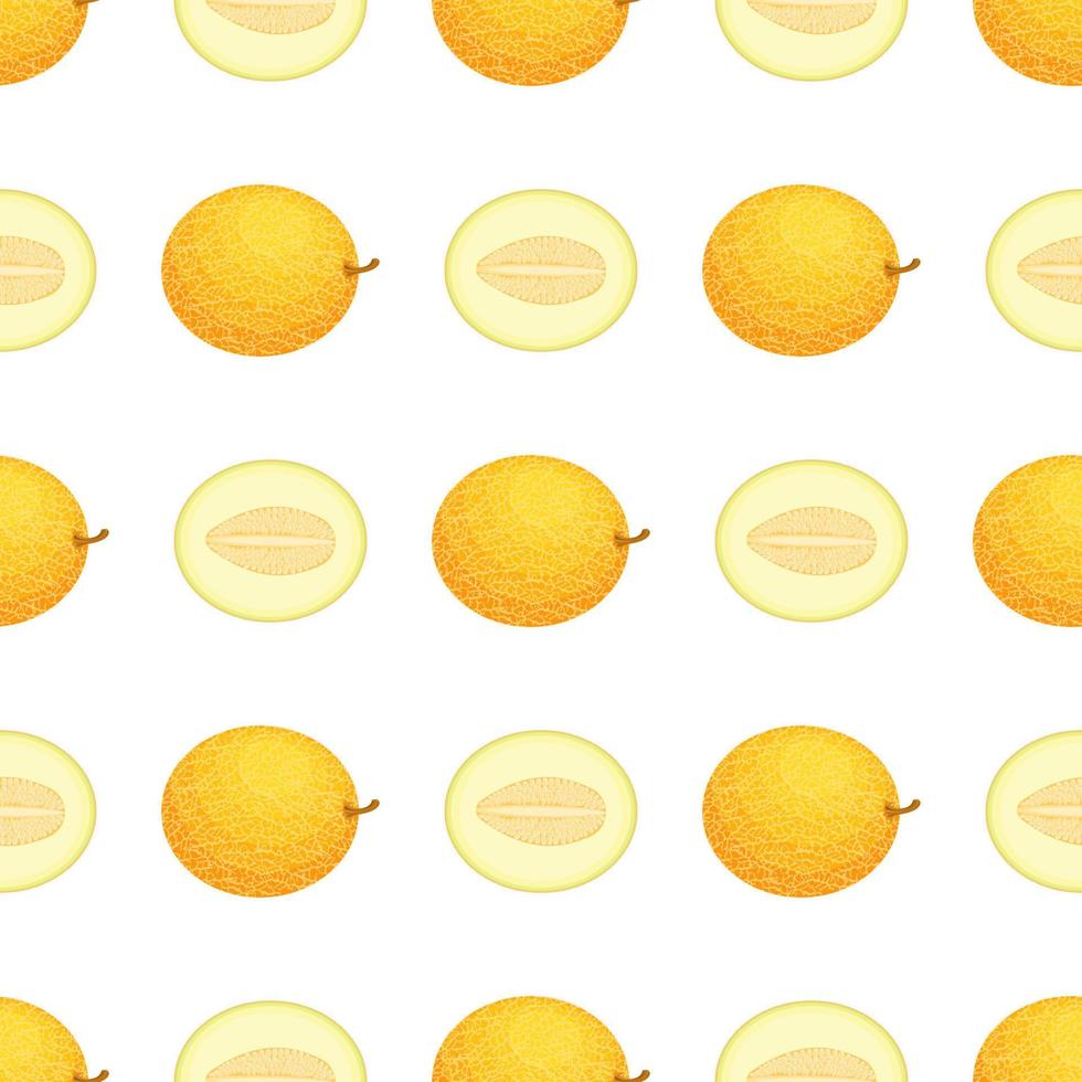 Seamless pattern with fresh whole and half melon fruit on white background. Honeydew melon. Summer fruits for healthy lifestyle. Organic fruit. Vector illustration for any design.