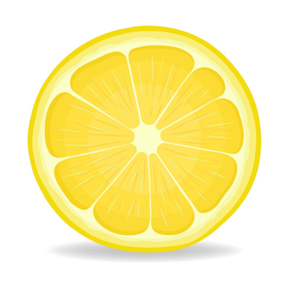 Fresh bright exotic half lemon fruit isolated on white background. Summer fruits for healthy lifestyle. Organic fruit. Cartoon style. Vector illustration for any design.