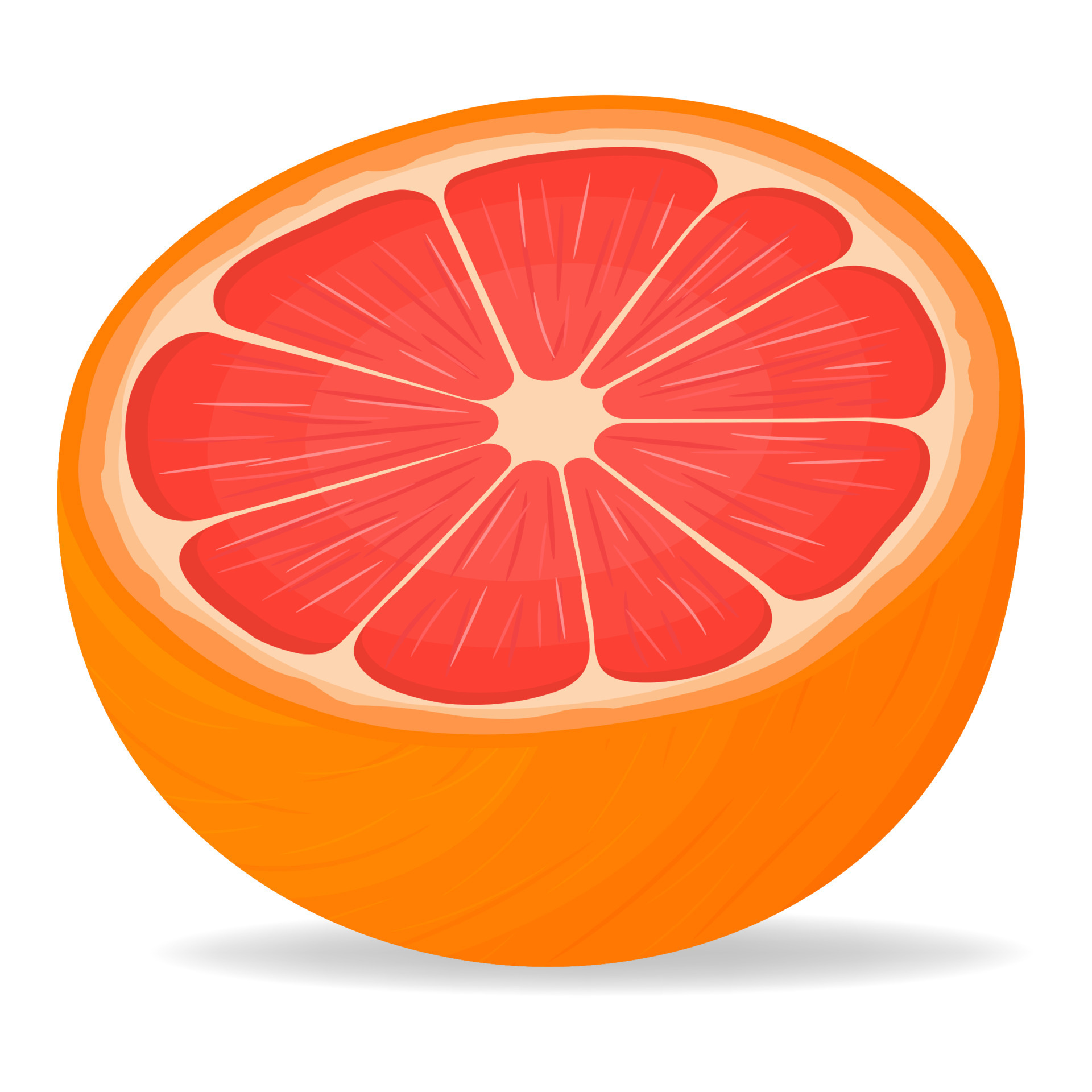 Fresh bright exotic half cut grapefruit isolated on white background.  Summer fruits for healthy lifestyle. Organic fruit. Cartoon style. Vector  illustration for any design. 10524870 Vector Art at Vecteezy
