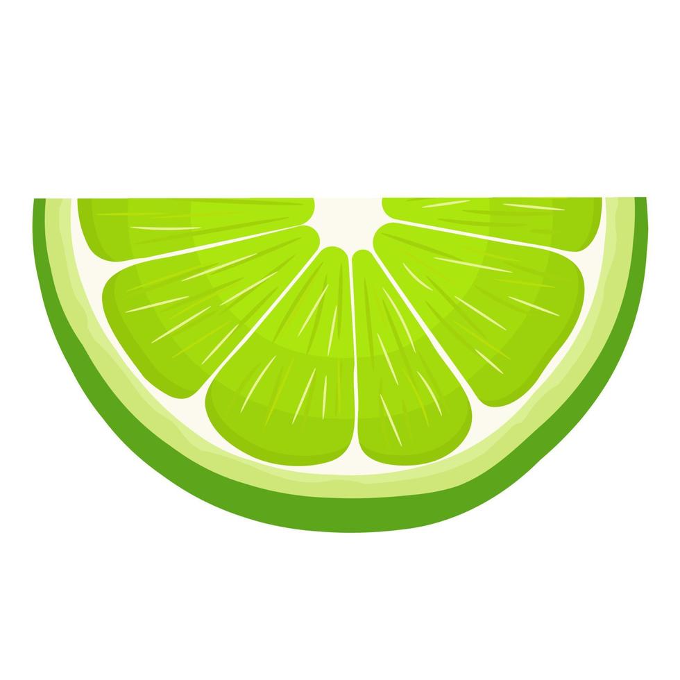 Fresh bright exotic cut slice lime fruit isolated on white background. Summer fruits for healthy lifestyle. Organic fruit. Cartoon style. Vector illustration for any design.