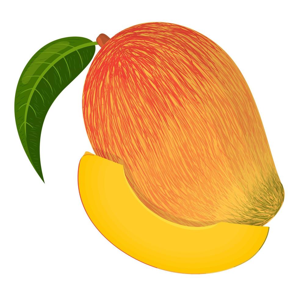 mango exótico fresco entero y en rodajas aislado sobre fondo blanco. frutas de verano para un estilo de vida saludable. fruta organica estilo de dibujos animados ilustración vectorial para cualquier diseño. vector