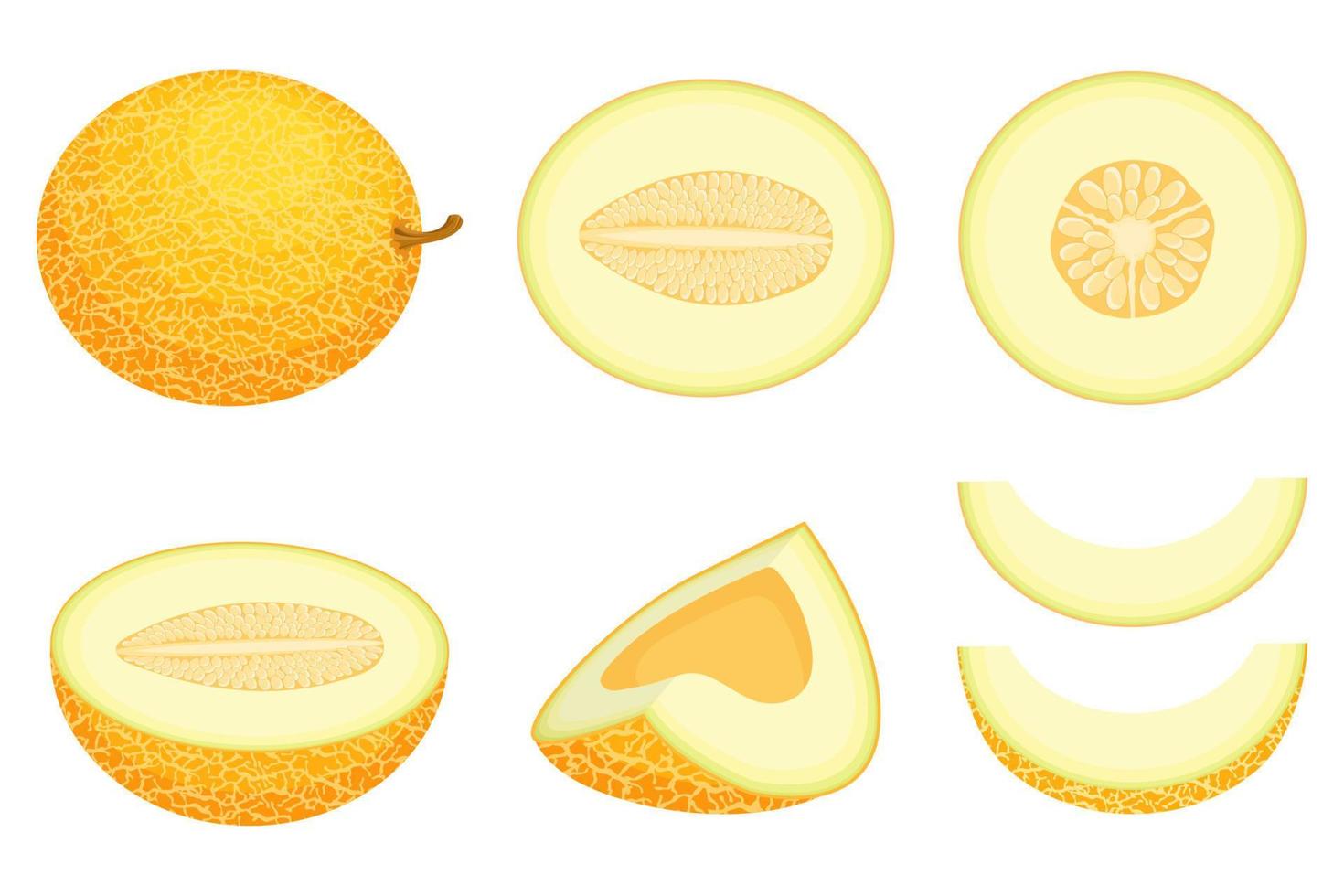 Set of fresh whole, half, cut slice melon fruit isolated on white background. Honeydew melon. Summer fruits for healthy lifestyle. Organic fruit. Cartoon style. Vector illustration for any design.