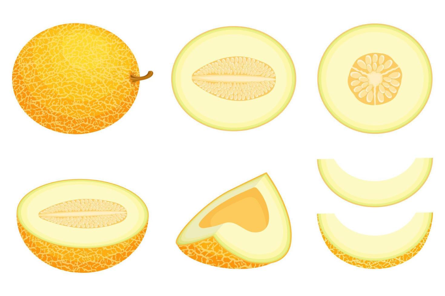 conjunto de fruta de melón fresca entera, mitad, rebanada cortada aislada sobre fondo blanco. melón dulce. frutas de verano para un estilo de vida saludable. fruta organica estilo de dibujos animados ilustración vectorial para cualquier diseño. vector