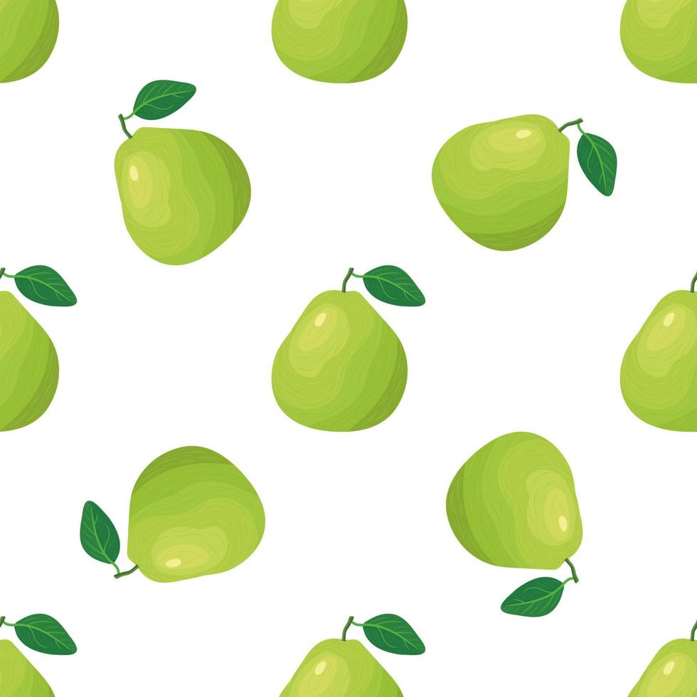 Seamless pattern with fresh bright exotic pomelo fruit on white background. Summer fruits for healthy lifestyle. Organic fruit. Cartoon style. Vector illustration for any design