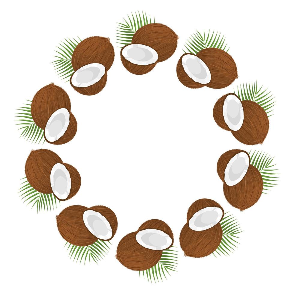 Wreath from whole, half coconut and leaves with space for text. Cartoon organic sweet food. Summer fruits for healthy lifestyle. Vector illustration for any design.