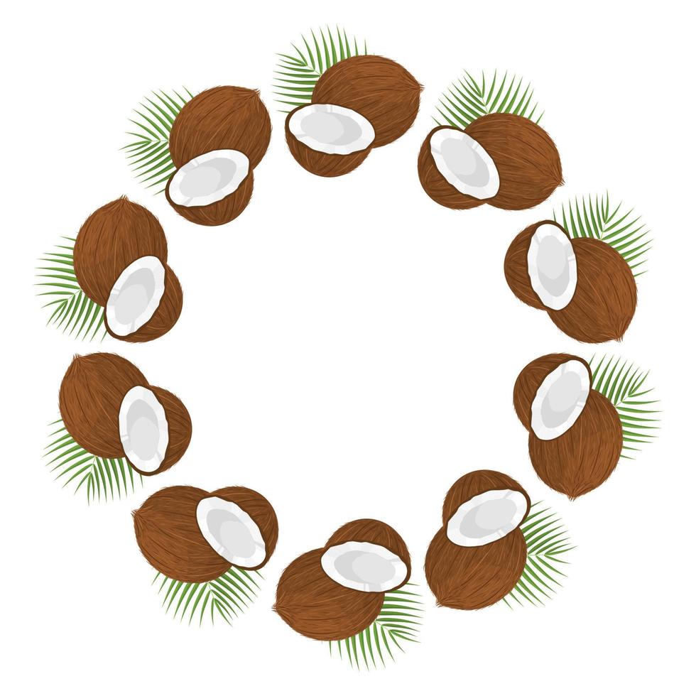 Wreath from whole, half coconut and leaves with space for text. Cartoon organic sweet food. Summer fruits for healthy lifestyle. Vector illustration for any design.