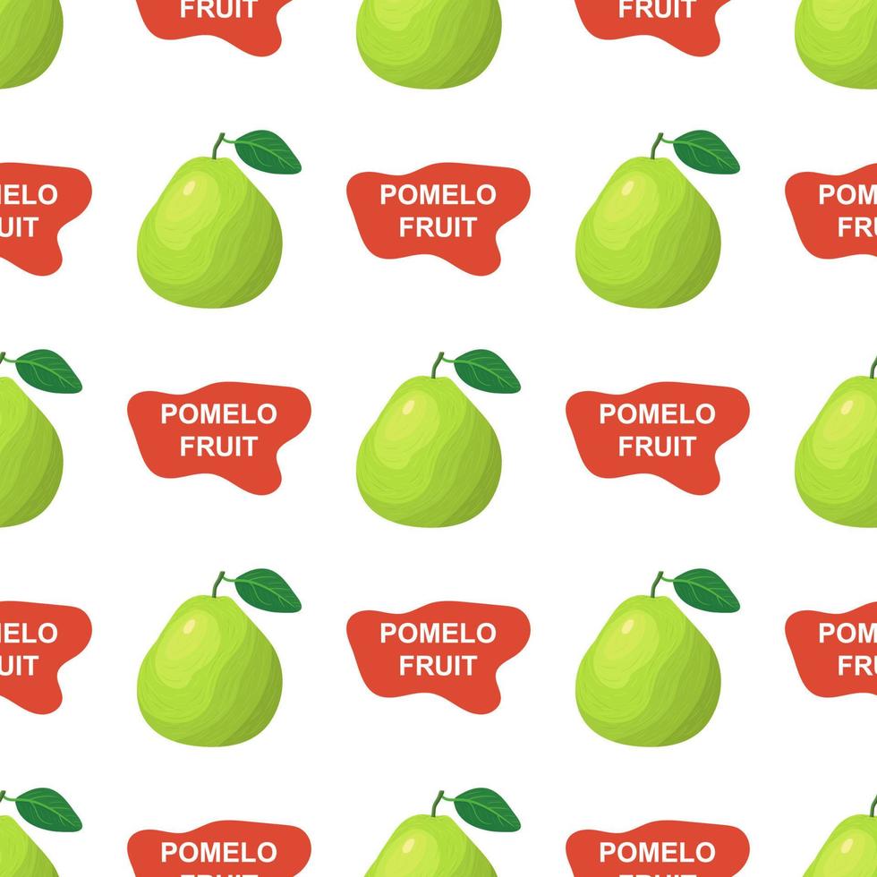 Seamless pattern with fresh bright exotic whole and cut slice pomelo fruit on white background. Summer fruits for healthy lifestyle. Organic fruit. Cartoon style. Vector illustration for any design