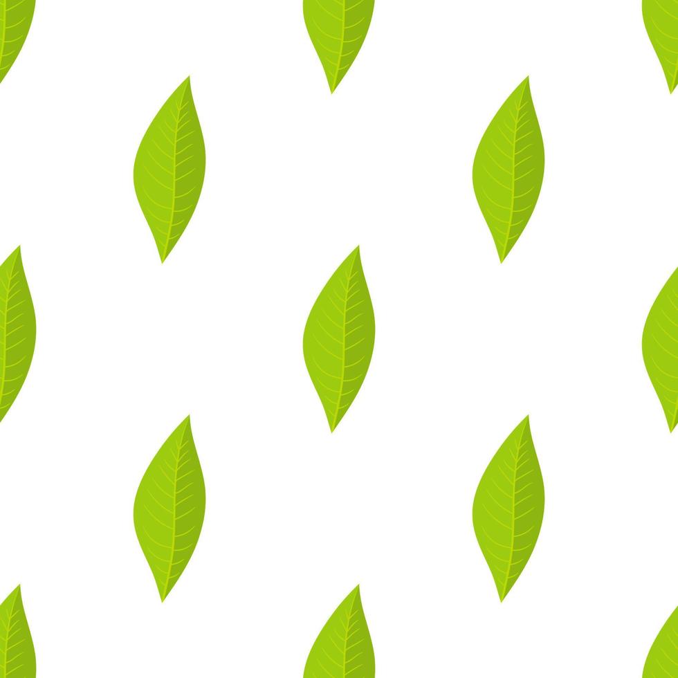 Seamless pattern with green leaves oforange fruit on white background. Vector illustration for design, web, wrapping paper, fabric, wallpaper