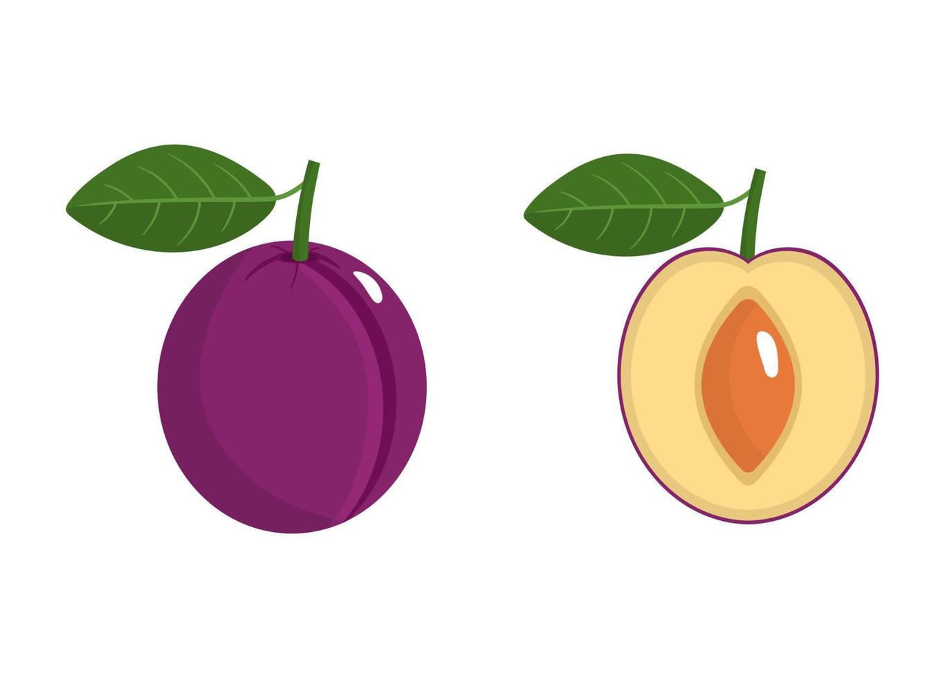 ciruela entera y media con tallo y hoja aislado sobre fondo blanco. fruta organica estilo de dibujos animados ilustración vectorial para cualquier diseño. vector