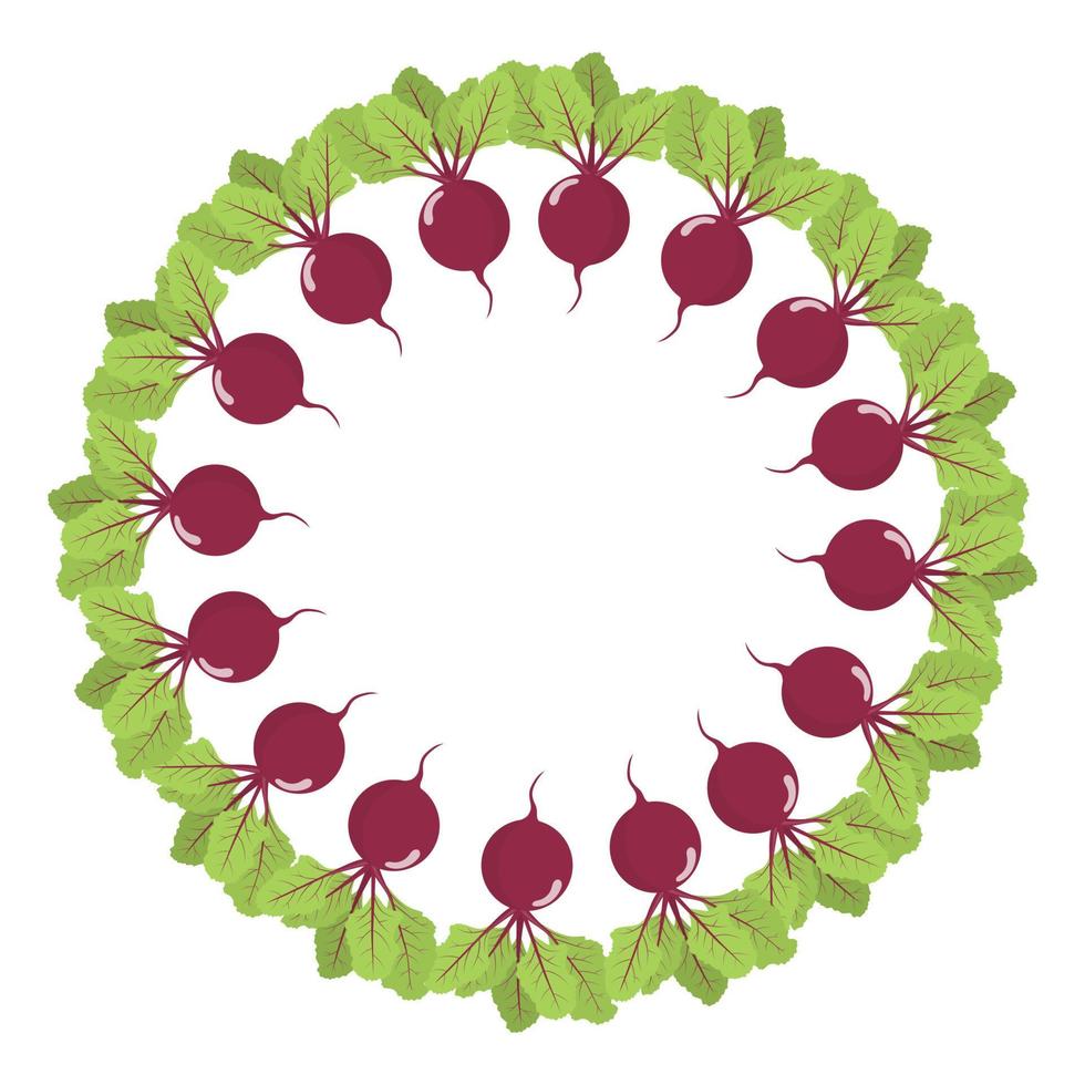 Beet wreath. Fresh vegetables. Organic food. Vector illustration on white background.