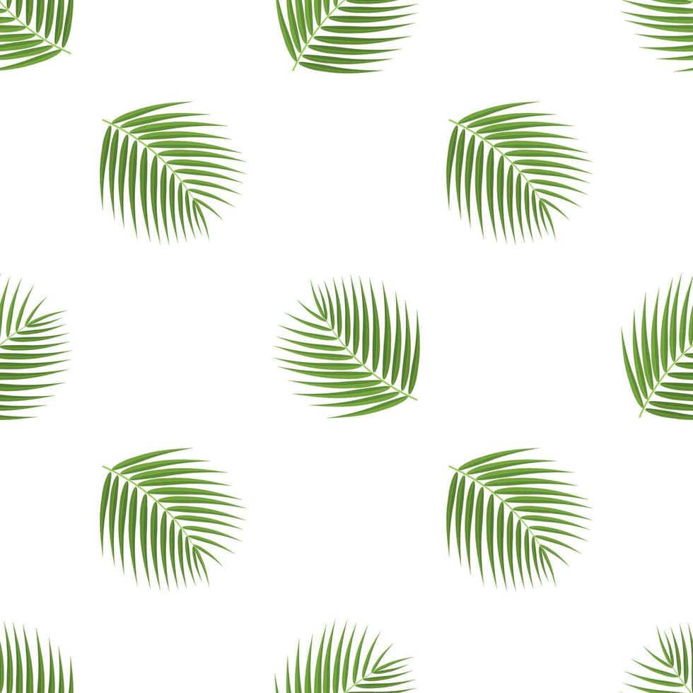 Seamless pattern with cartoon detailed exotic coconut leaf on white background. Vector illustration for any design.