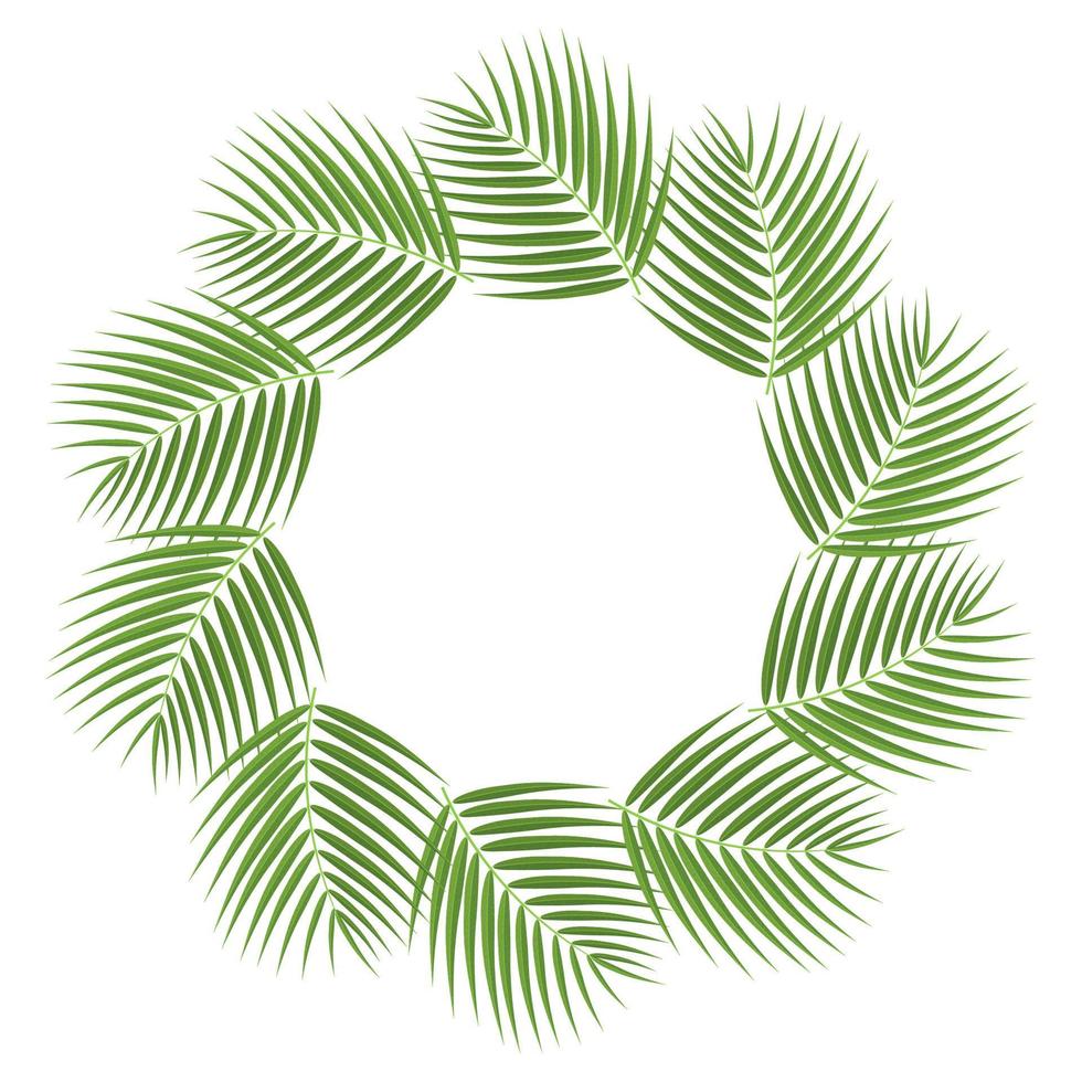 Wreath from cartoon detailed exotic coconut leaves with space for text. Cartoon organic sweet food. Summer fruits for healthy lifestyle. Vector illustration for any design.