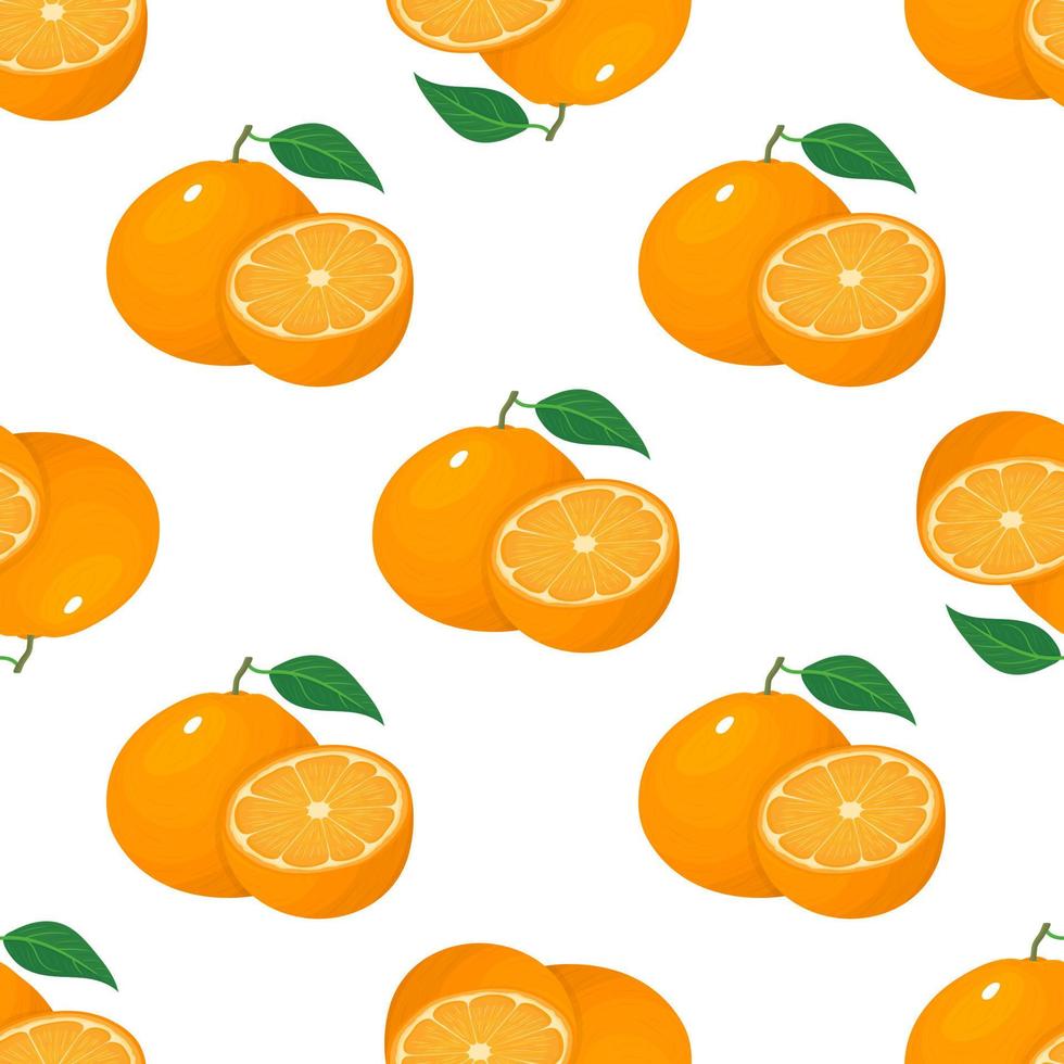 Seamless pattern with fresh bright exotic whole and half tangerine or mandarin isolated on white background. Summer fruits for healthy lifestyle. Organic fruit. Vector illustration for any design.