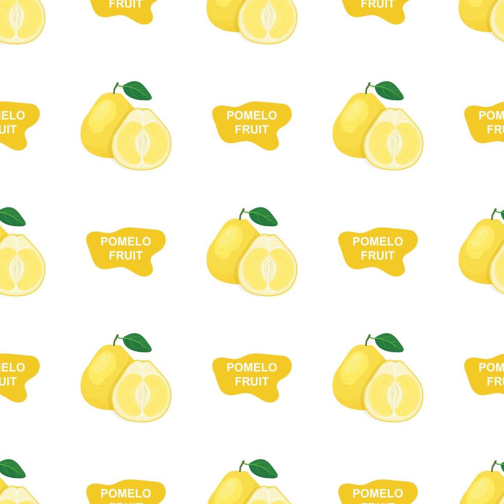 Seamless pattern with fresh bright exotic whole and cut slice pomelo fruit on white background. Summer fruits for healthy lifestyle. Organic fruit. Cartoon style. Vector illustration for any design