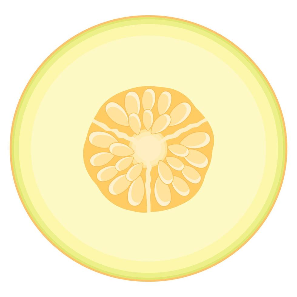 fruta fresca de medio melón aislada en fondo blanco. melón dulce. frutas de verano para un estilo de vida saludable. fruta organica estilo de dibujos animados ilustración vectorial para cualquier diseño. vector