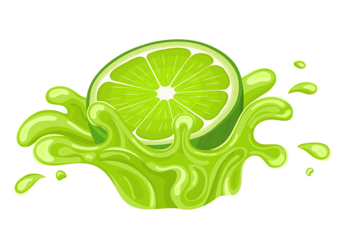 Fresh bright half cut lime juice splash burst isolated on white background. Summer fruit juice. Cartoon style. Vector illustration for any design.